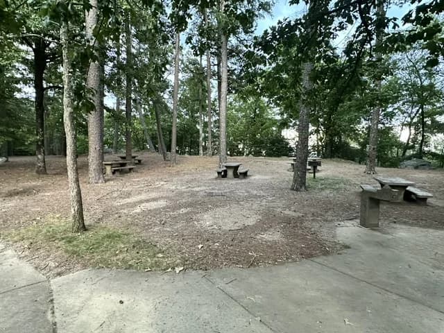 Picnic tables and grills beneath the trees on Hot Springs Mountain