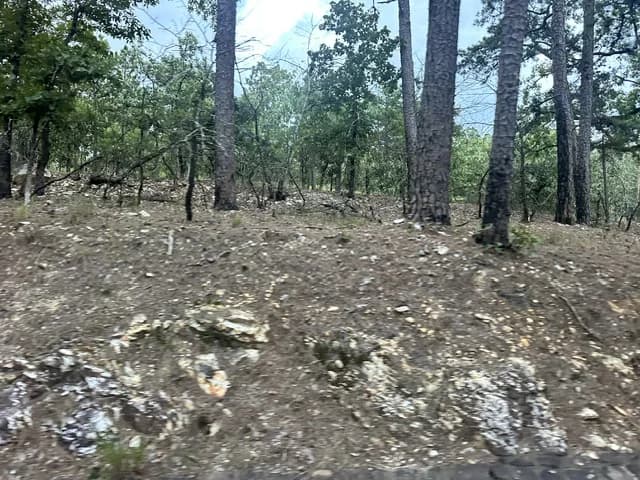 Rocky wooded slope beside Hot Springs Mountain Drive