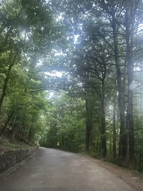 Tree-lined road climbing Hot Springs Mountain