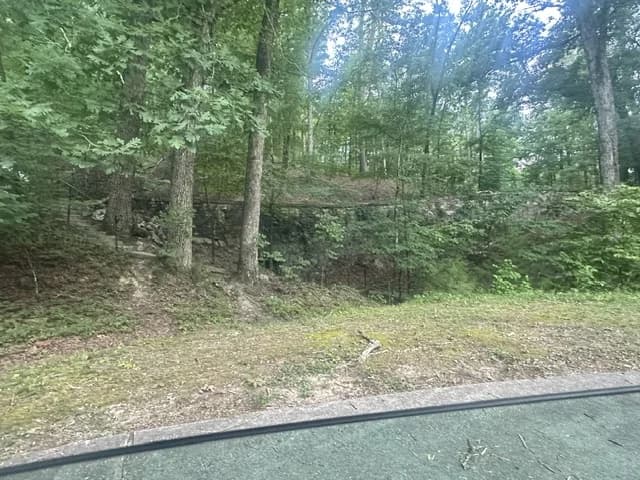 Wooded roadside stop on Hot Springs Mountain